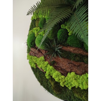 Leśny obraz z mchów i chrobotka reniferowego z dodatkiem paproci moss decor